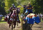Theme Parks Warwick Castle - Sunday Special Offer