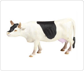 Cow Farm Animal