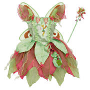 Tinkerbell Fairy Dress Up Age 5/8