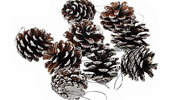 Tinksky Pack of 9 Pinecone Pine Nut for Christmas Tree Decoration (Silver)