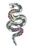 Tinsley Transfers Tattoo: Snake