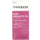 Rose Absolute Oil In Organic Jojoba