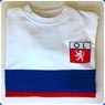 TOFFS Olympique Lyon 1960s retro football shirt
