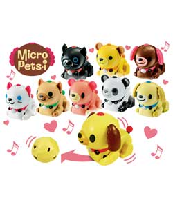 micro Pets-i - Sesame