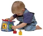 Tomy Shape Sorter Cottage