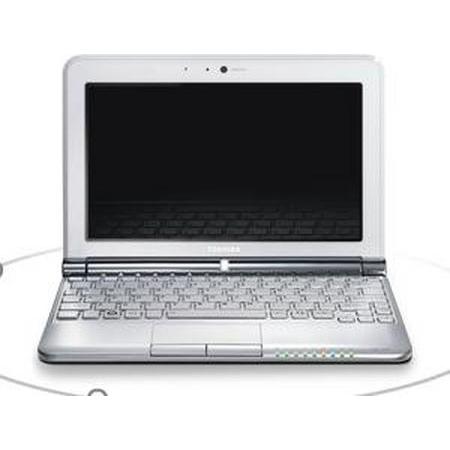 Toshiba NB305-106 10` Laptop Computer