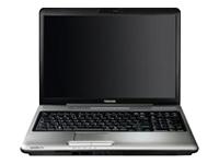Toshiba Notebook Laptop Satellite Pro P300-1EX Intel Dual Core T3200 2.0GHz 2GB 120GB 17 WXGA Vista Home Pre