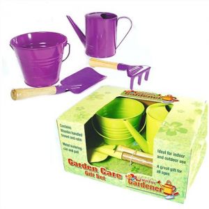 Metal Watering Can and Bucket Set