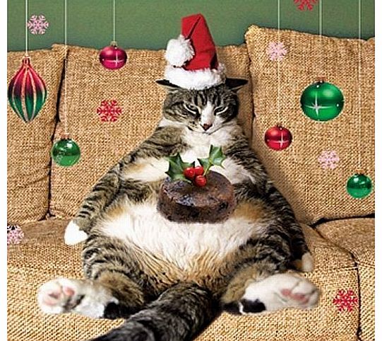 Fat Cat & Christmas Pudding Charity Xmas Cards Pack of 5