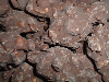 Traditional Old Fashioned Chocolate Coated Nut Cluster