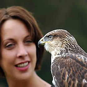 treatme.net Falconry Experience 1/2 Day Perthshire