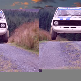 Half Day Forest Rally Experience (Wales)