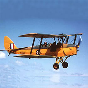 treatme.net Tigermoth 20 Minute Experience for 2