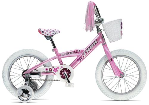 trek-mystic-girls-16-inch-2006-bike.jpg