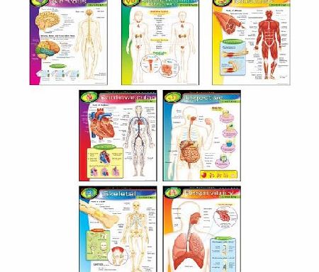 Trend Learning Charts Combo Pack The Human Body Themed Poster Pack Rrp