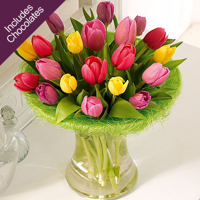 tulip Perfect Gift with Chocolates
