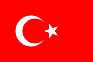 Turkey paper flag, 11