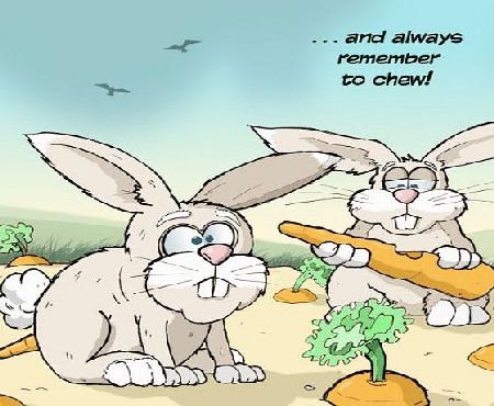 Twizler Funny Card with Rabbits - Blank Card - Happy Birthday Card - Humour Card - Get Well Soon Card - Good Luck Card - Thank You Card - Goodbye Card - Thinking of You Card - Easter Card - Fathers Da