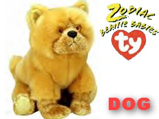 TY Zodiac Dog
