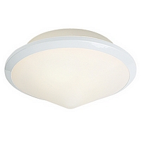 029 25WH - White Flush Light
