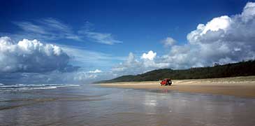 Unbranded 1 Day 4WD Tour of Fraser Island