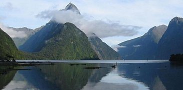 Unbranded 1 Day Milford Sound Scenic Cruise
