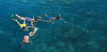 dive snorkel snorkelling coral reef glass bottom boat of catamaran wavedancer low isles isle cay div