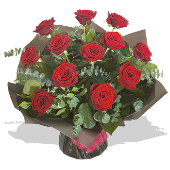 Unbranded 12 Luxury Red Roses - flowers