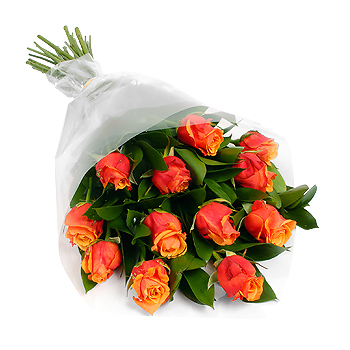 Unbranded 12 Orange Roses Gift Wrap - flowers
