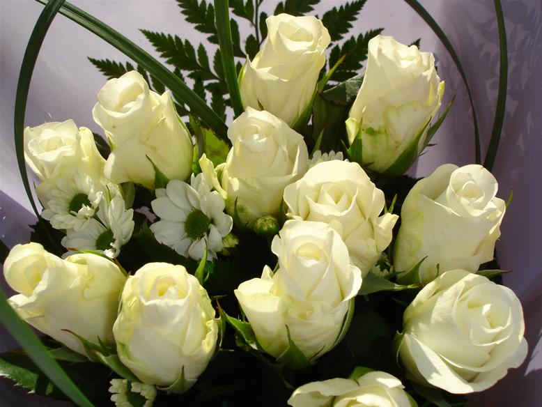 Unbranded 12 White Roses with Foliage