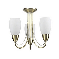 Satin brass energy efficent fitting and can be used to comply with part L of the building regulation