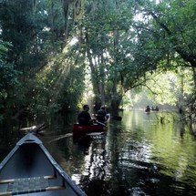 Unbranded 2-hour Self-Guided Canoe Trip Along the