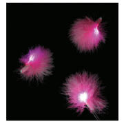 Unbranded 20 B/O Fluffy Pink Lights
