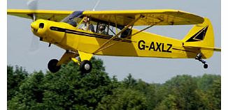 Unbranded 20 Minute Introductory Piper Cub Flying Experience