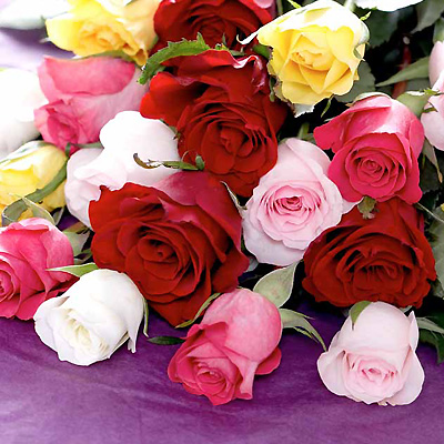 Unbranded 20 Mixed Roses