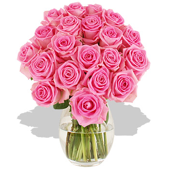 Unbranded 20 Pink Luxury Roses - flowers