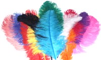 22 Inch Ostrich Feathers (Pk 5) Salmon