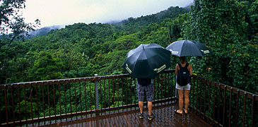 rainforest villa rain forest forests daintree boutique eco lodge spa port douglas great barrier reef