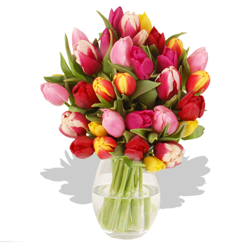 Unbranded 30 Mixed Tulips - flowers