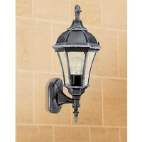 IP44 rated outdoor wall light cast aluminium black silver finish with clear glass diffusers. Height 