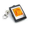 This clever keyring includes 1.5 colour LCD screen and 8MB of internal memory.