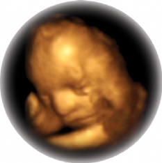 Enjoy the magical experience of seeing your baby moving in your womb and then capture that moment fo