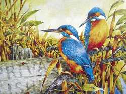500 Piece Kingfishers Wooden Puzzle