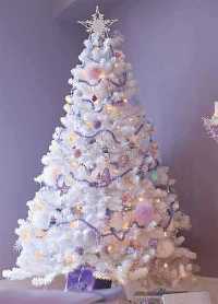 6.5Ft White Colorado Christmas Tree