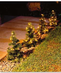 Set of 6 mini outdoor Christmas trees.20 super bri