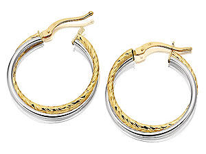 Unbranded 9ct Two Colour Gold Double Hoop Earrings 074135