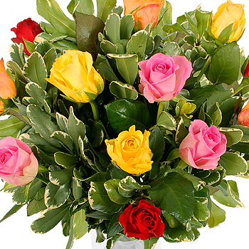 Unbranded A Dozen Mixed Roses - flowers