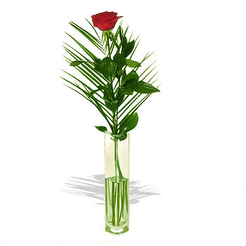 Unbranded A Red Rose in a Vase - flowers