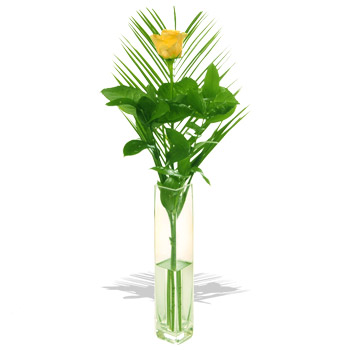 Unbranded A Yellow Rose in a Vase - flowers