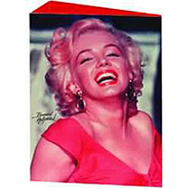 Glossy A4 ring binder featuring a famous image of Marilyn.